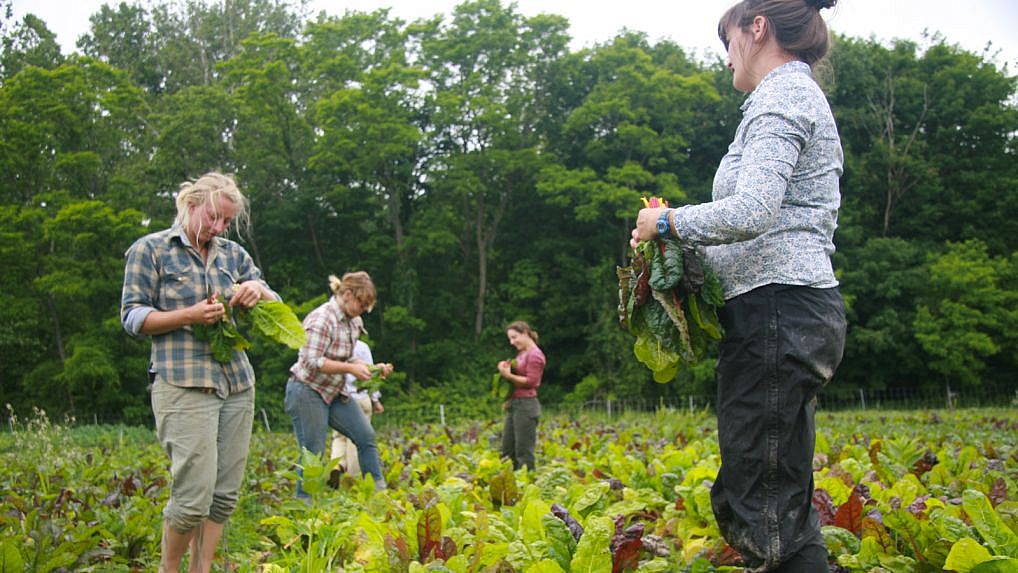 Produce Source Partners